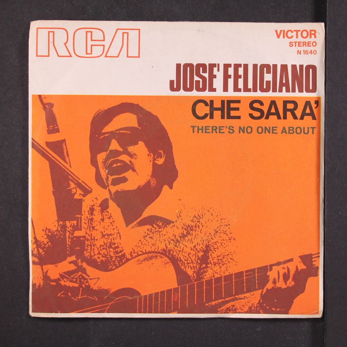 che sara by JOSE FELICIANO