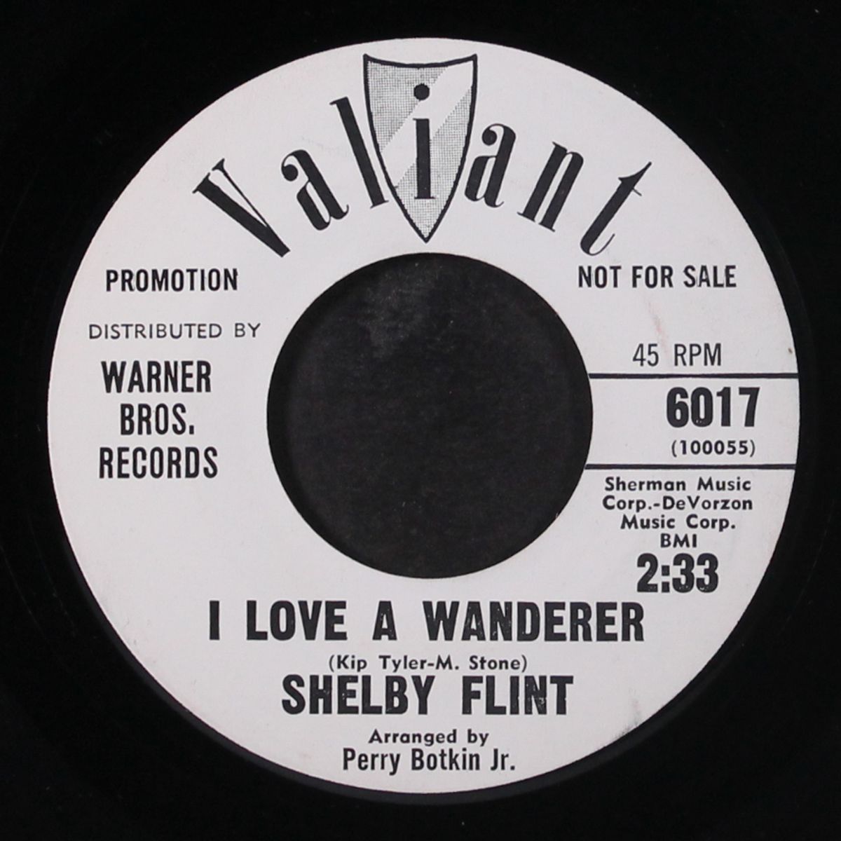 i love a wanderer by SHELBY FLINT