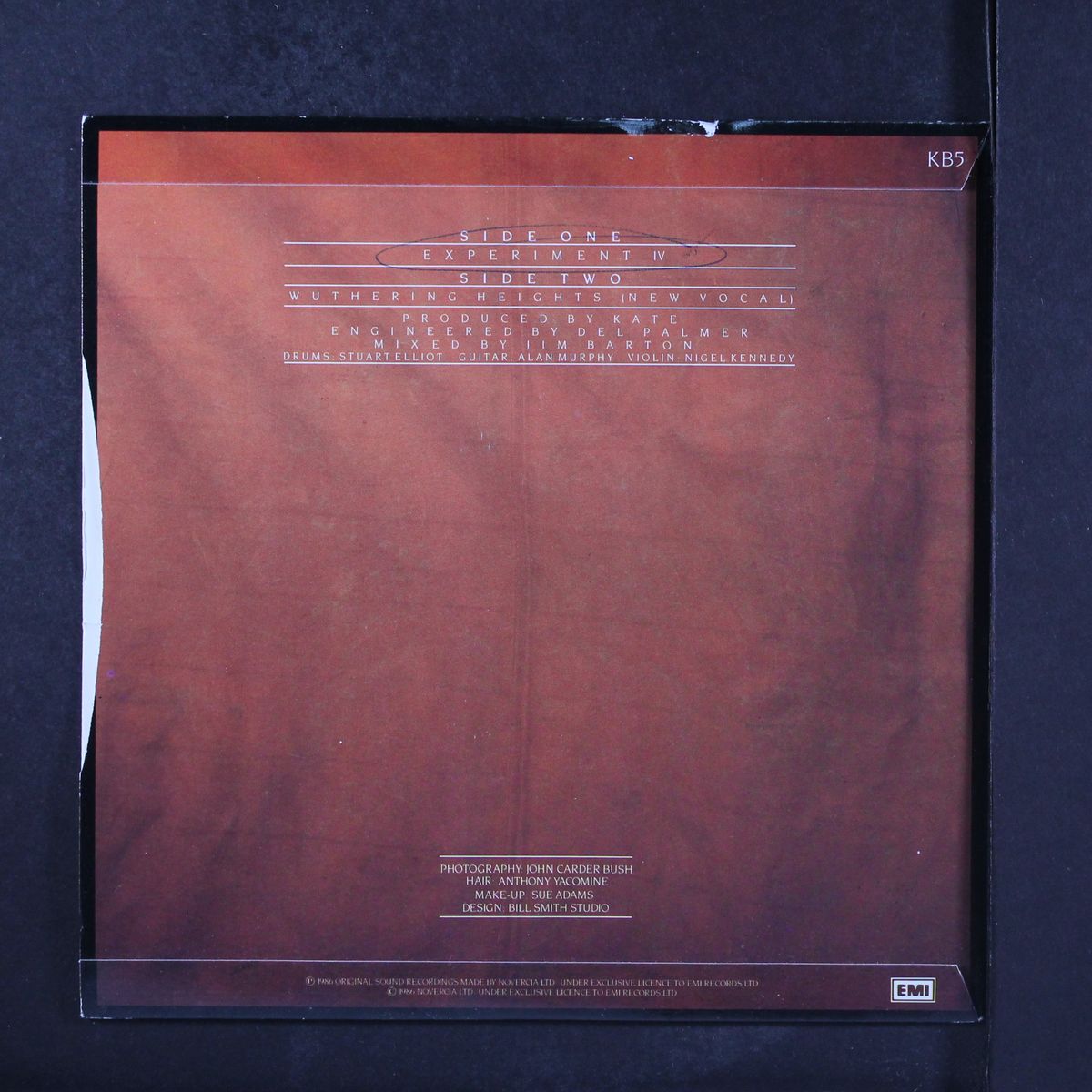 experiment iv by KATE BUSH