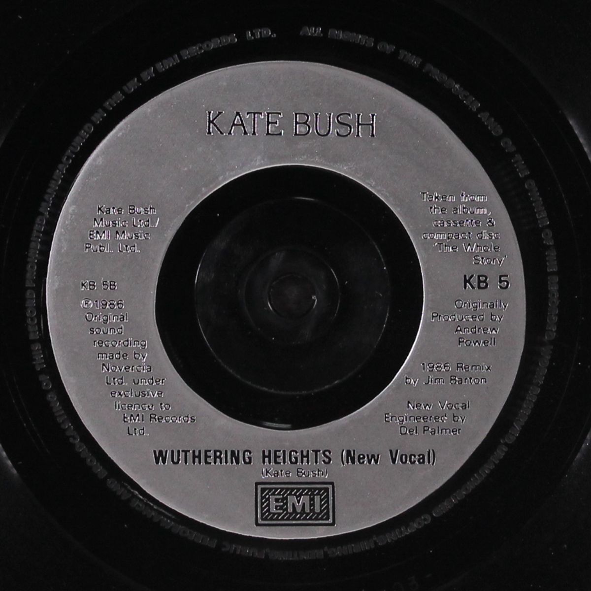experiment iv by KATE BUSH
