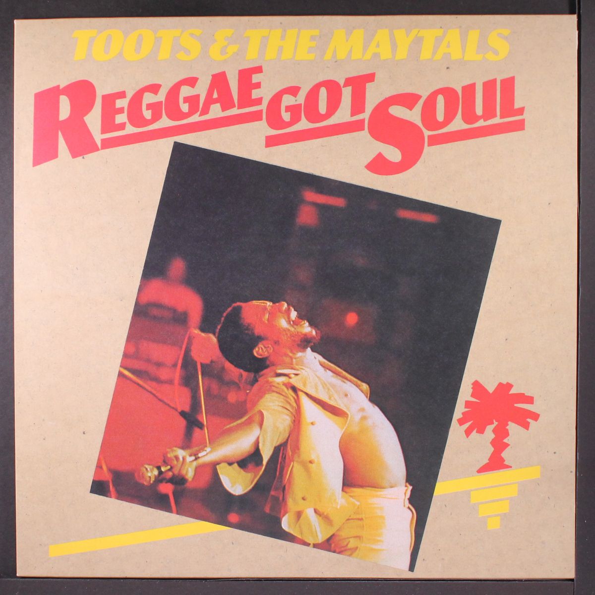 reggae got soul by TOOTS & MAYTALS