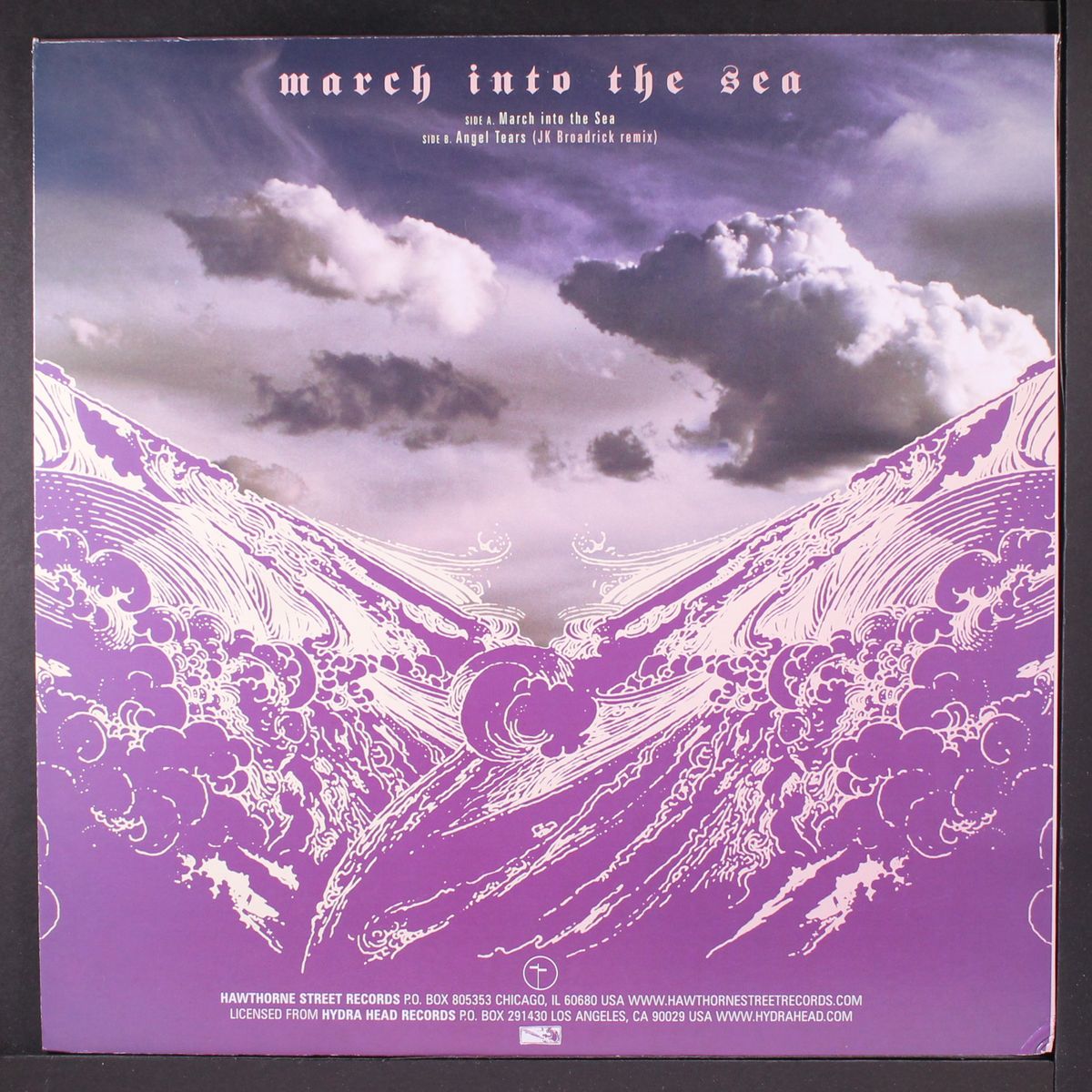 march into the sea by PELICAN