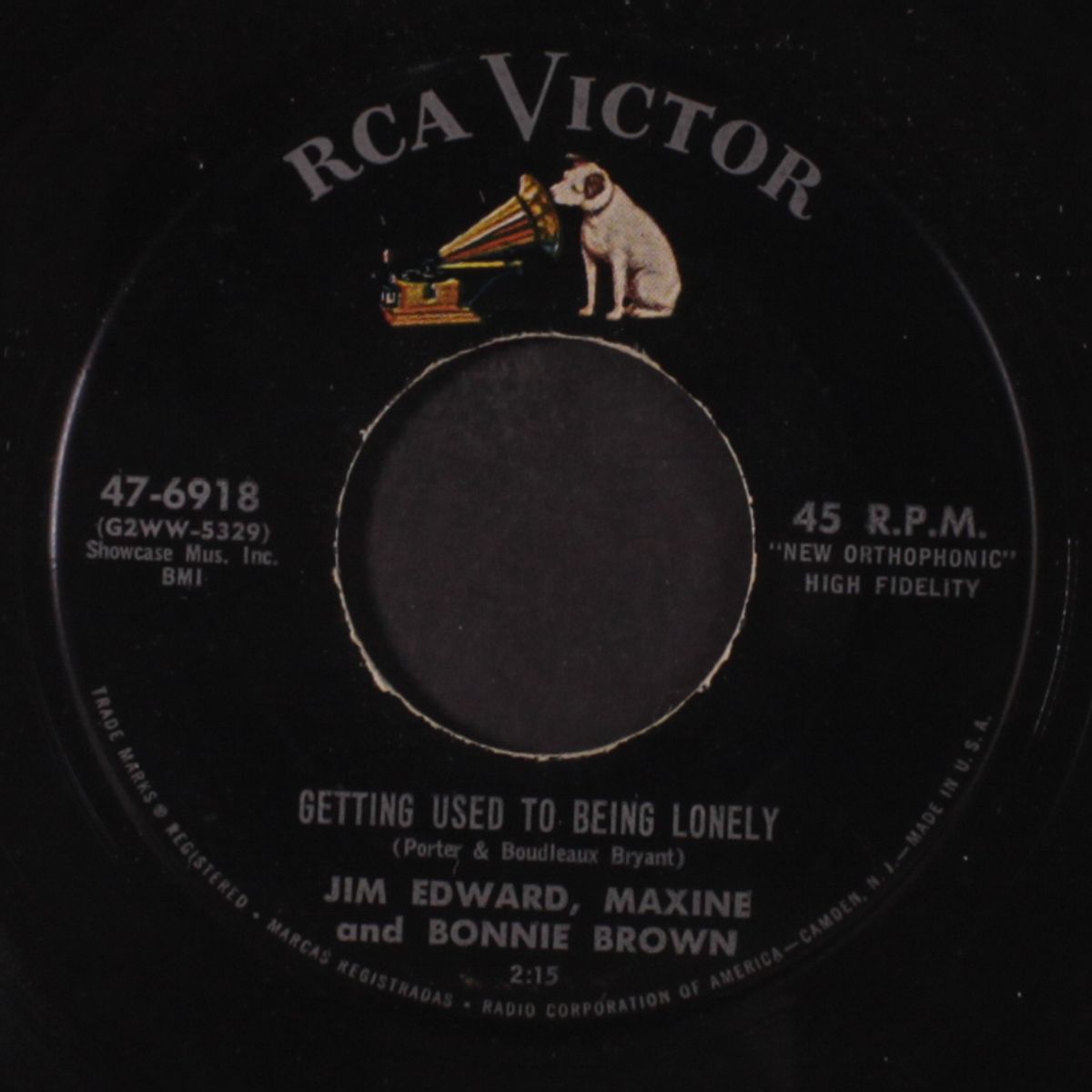 getting used to being lonely by BROWNS