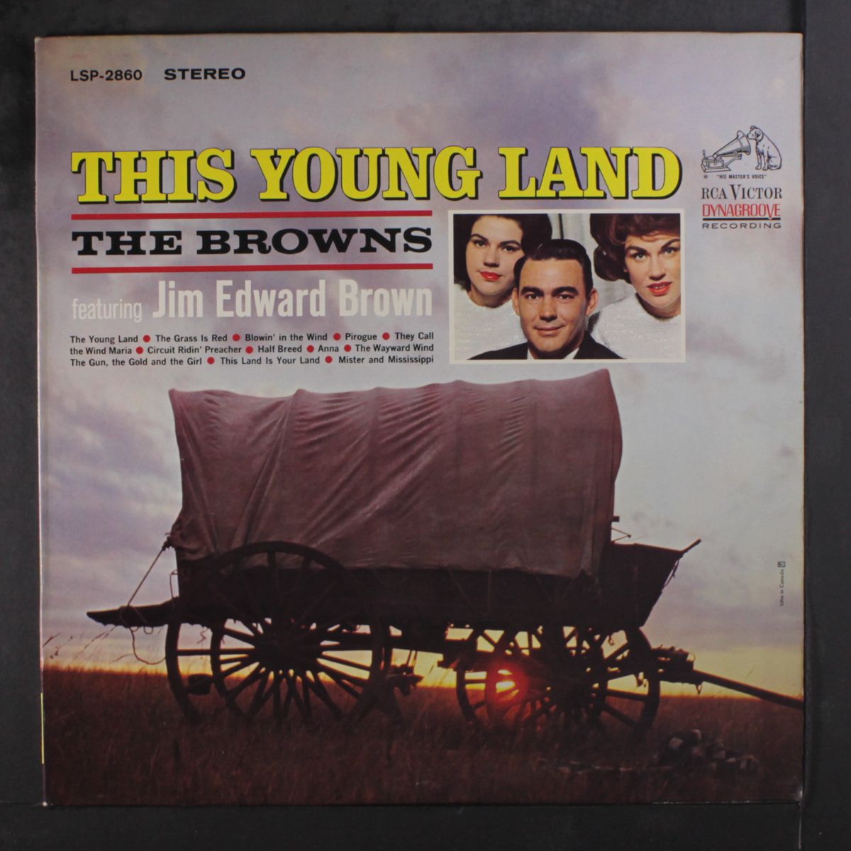 this young land by BROWNS
