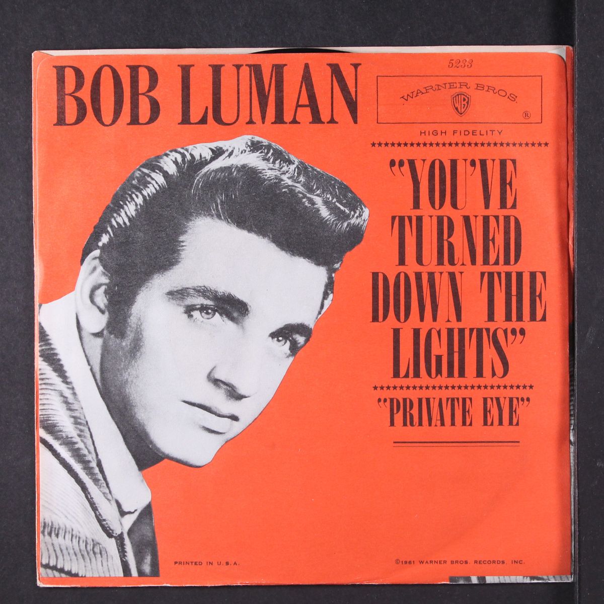 private eye by BOB LUMAN