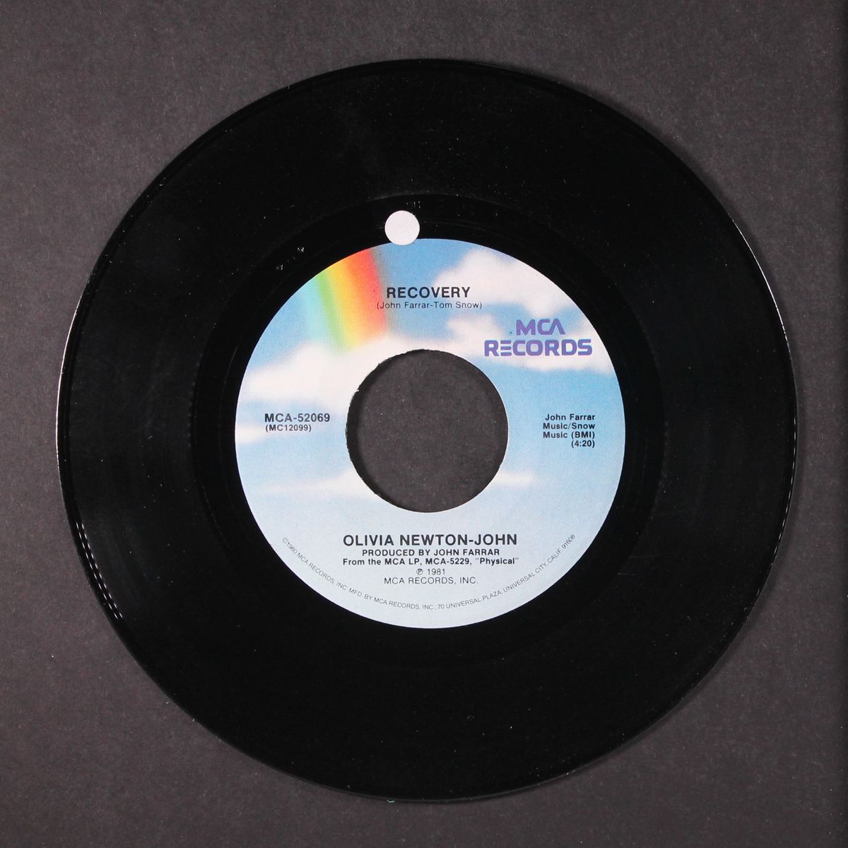 landslide / recovery by OLIVIA NEWTON-JOHN