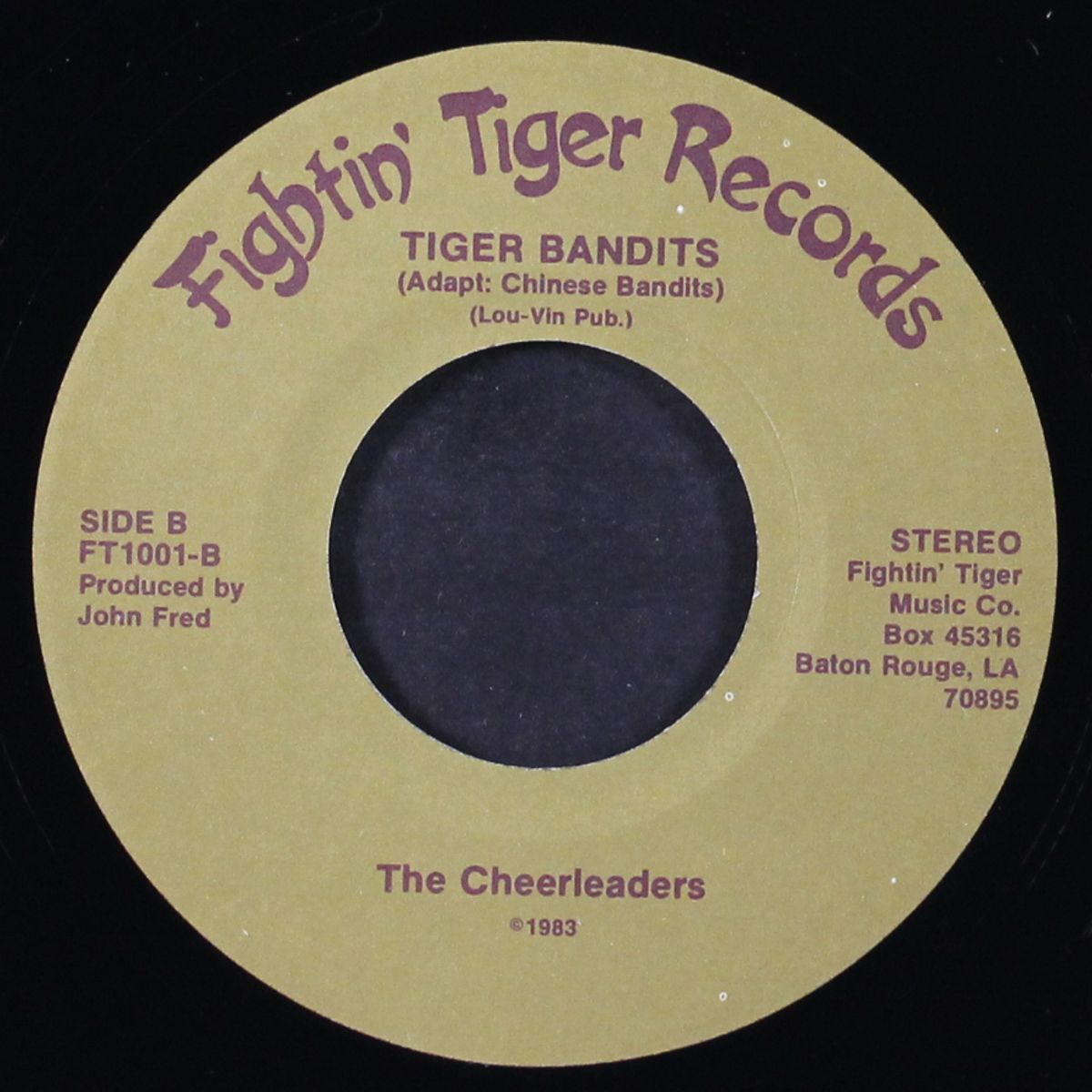 dale brown / tiger bandits by CHEERLEADERS