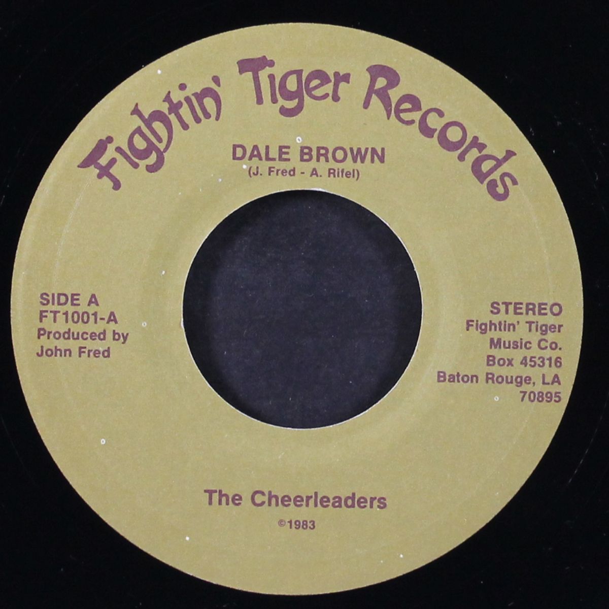 dale brown / tiger bandits by CHEERLEADERS