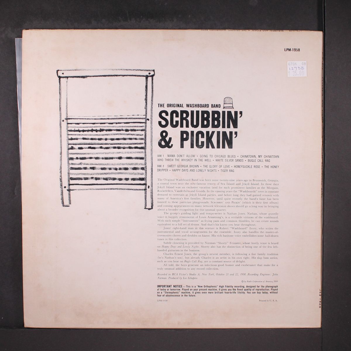 scrubbin' & pickin' by ORIGINAL WASHBOARD BAND