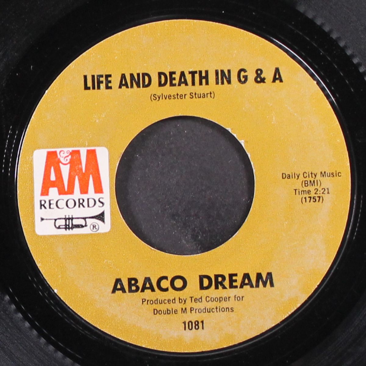 cat woman / life and death in g&a by ABACO DREAM