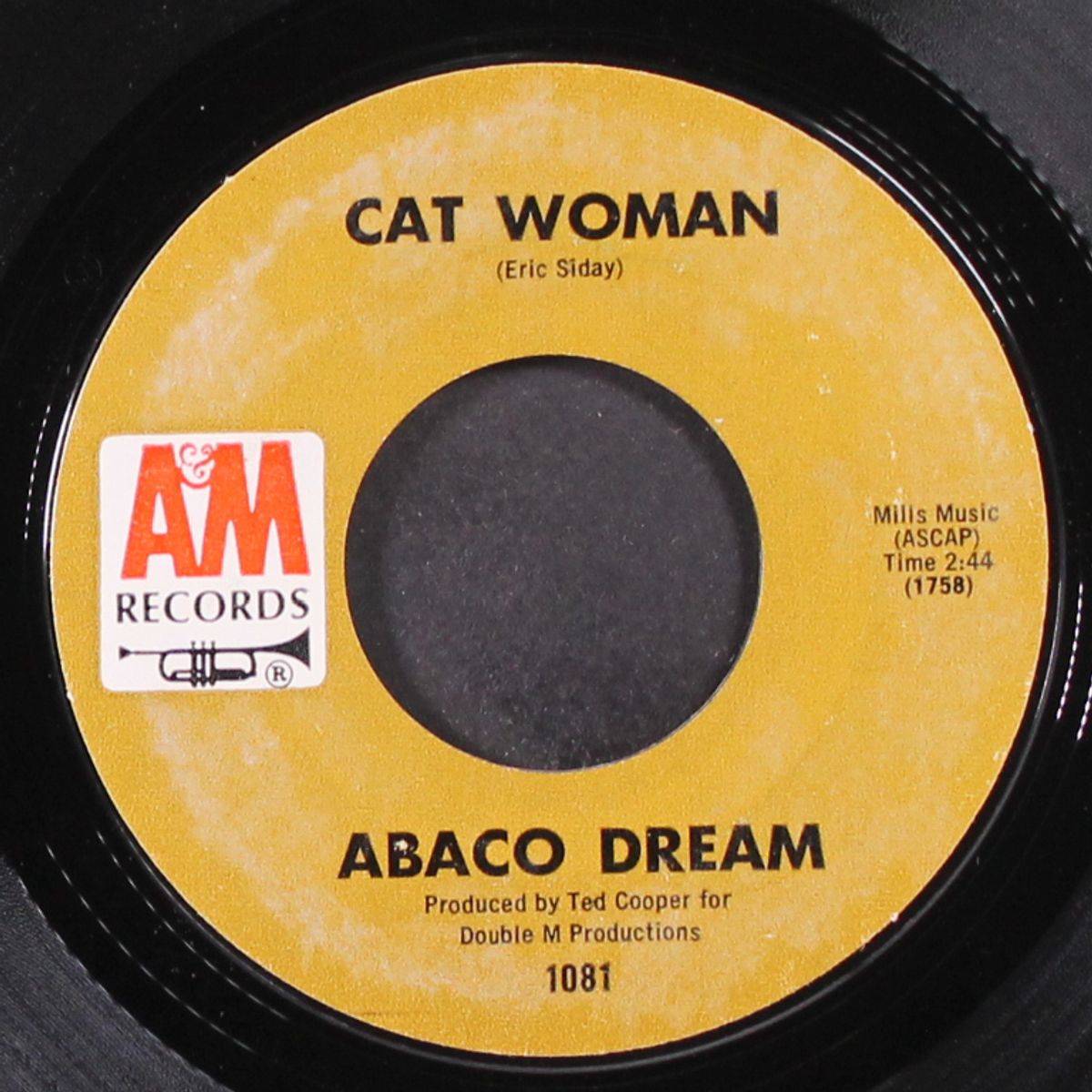 cat woman / life and death in g&a by ABACO DREAM