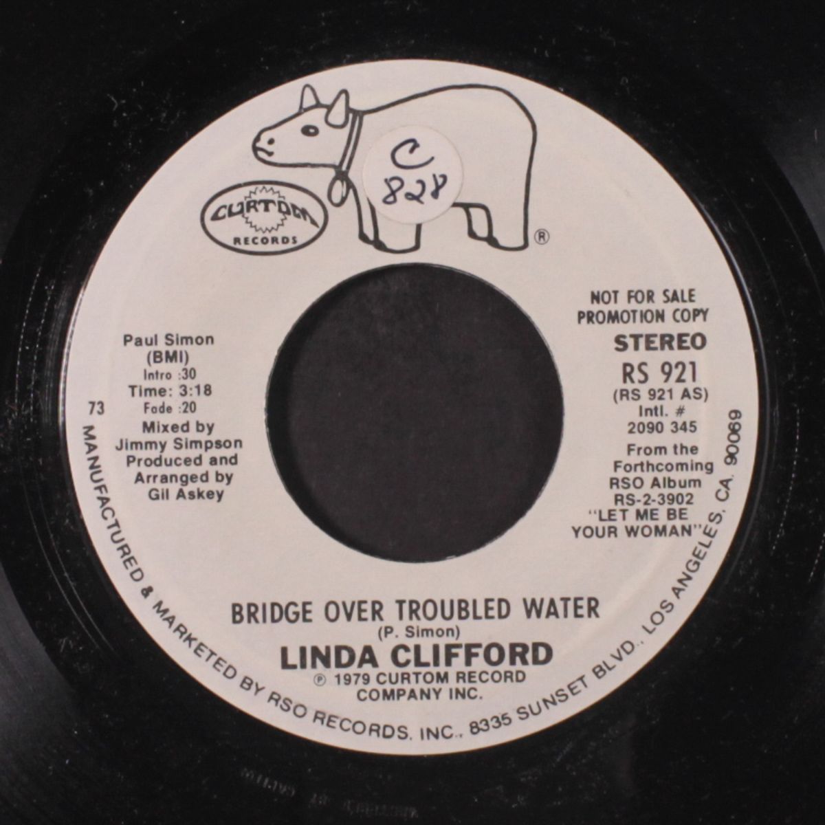 bridge over troubled water / mono by LINDA CLIFFORD
