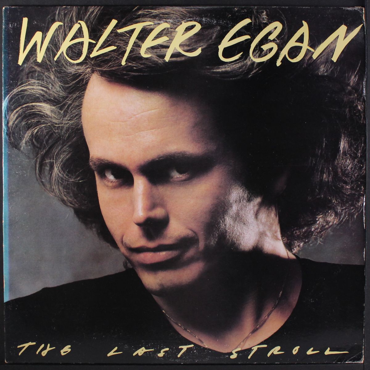 the last stroll by WALTER EGAN
