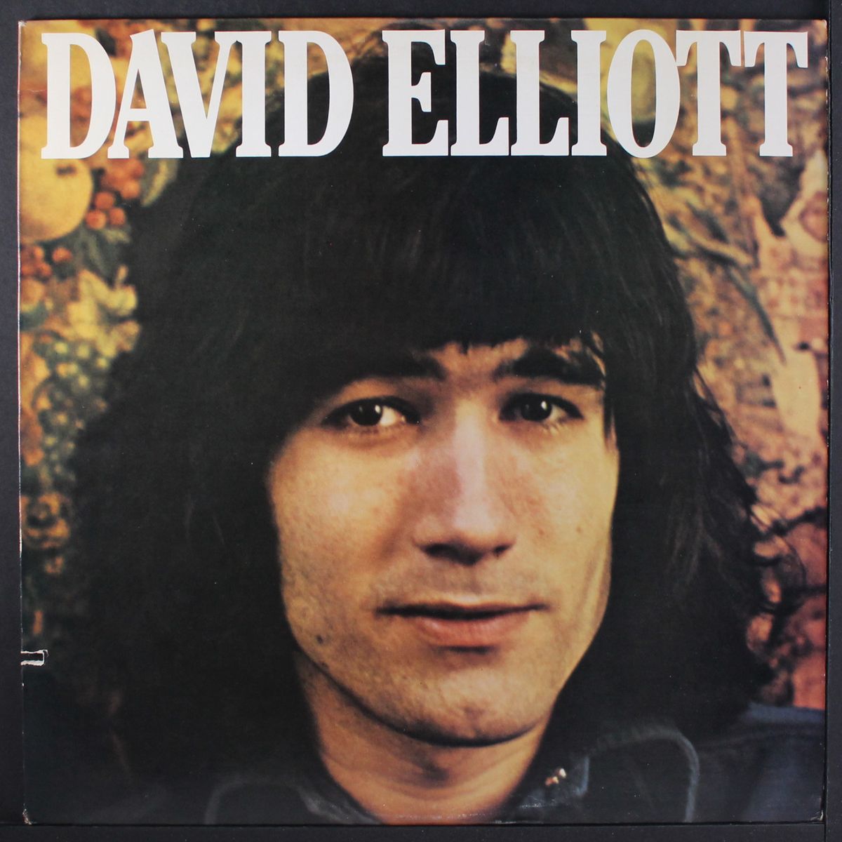david elliott by DAVID ELLIOTT