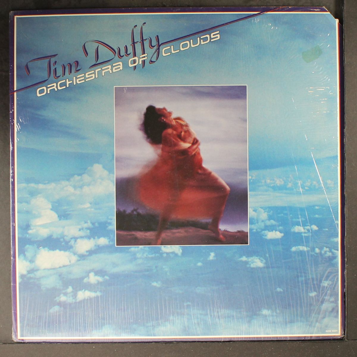 orchestra of clouds by TIM DUFFY