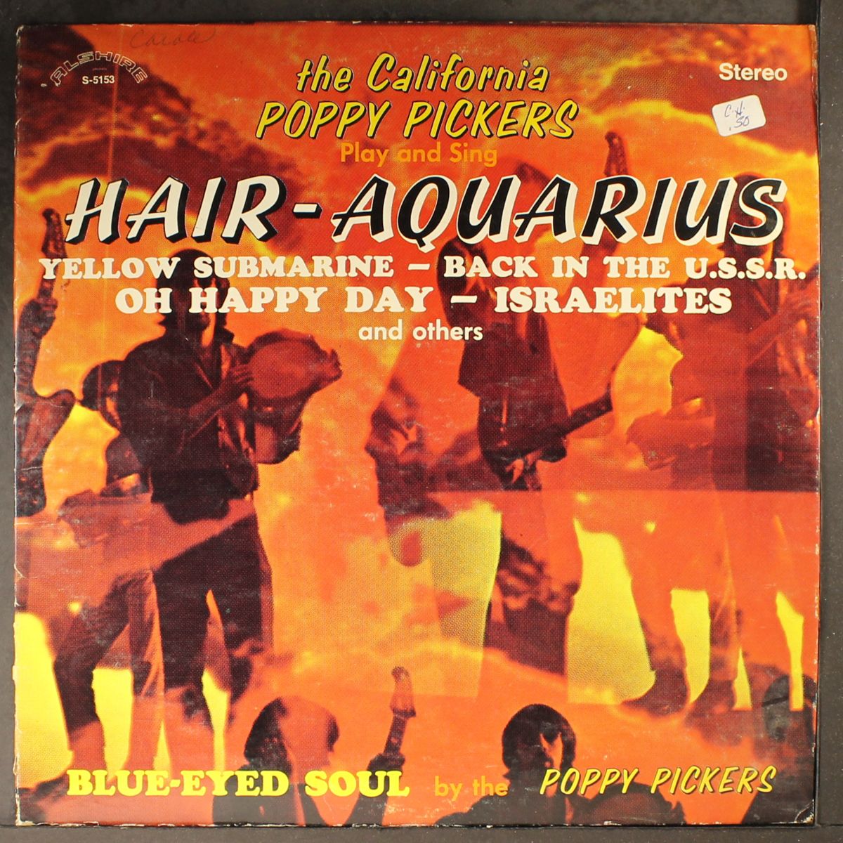 play and sing hair-aquarius by CALIFORNIA POPPY PICKERS