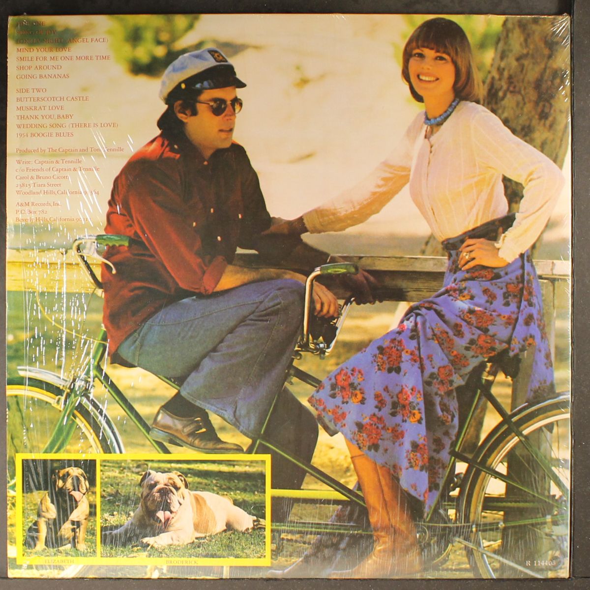 song of joy by CAPTAIN & TENNILLE