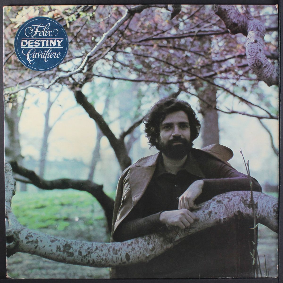destiny by FELIX CAVALIERE