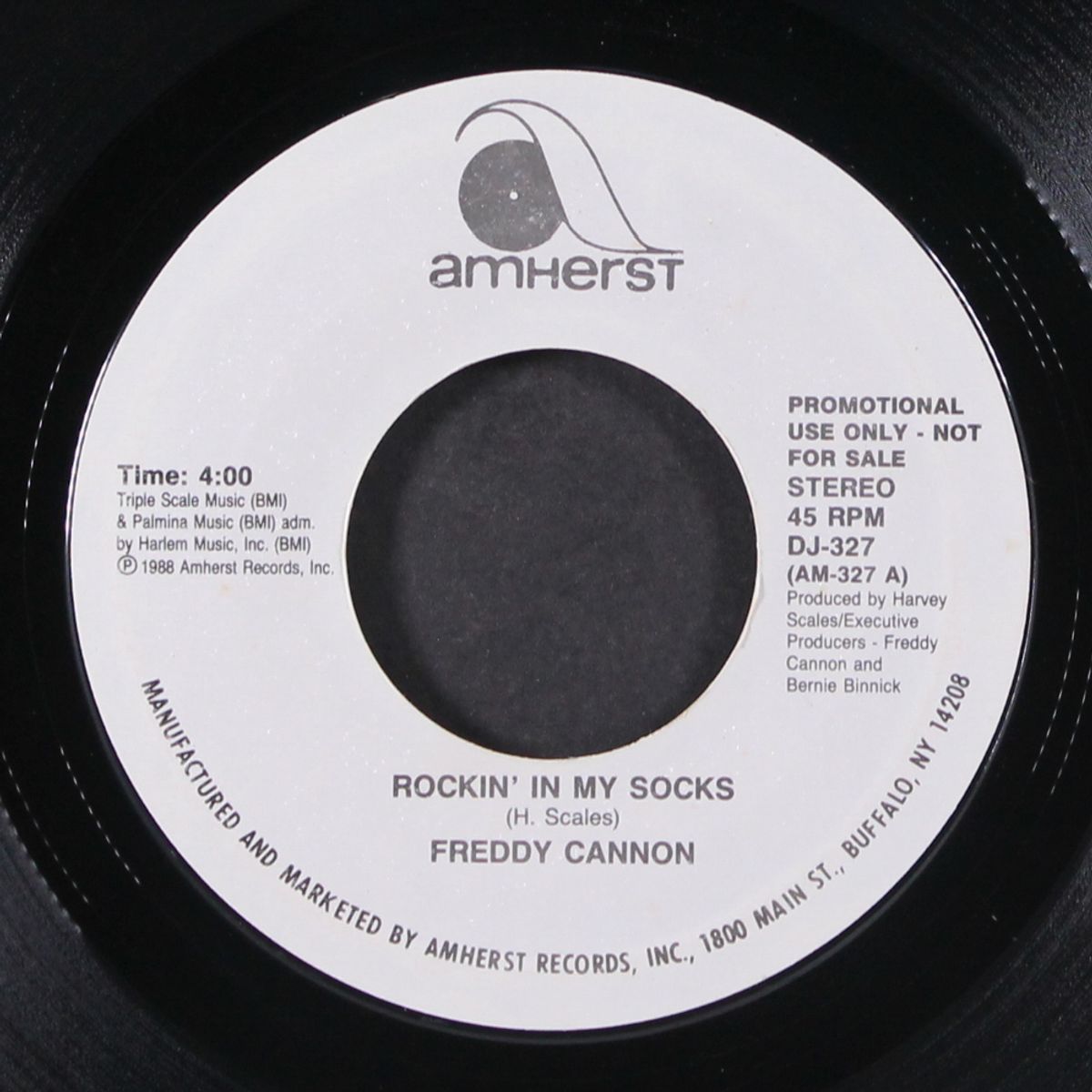 rockin' in my socks by FREDDY CANNON
