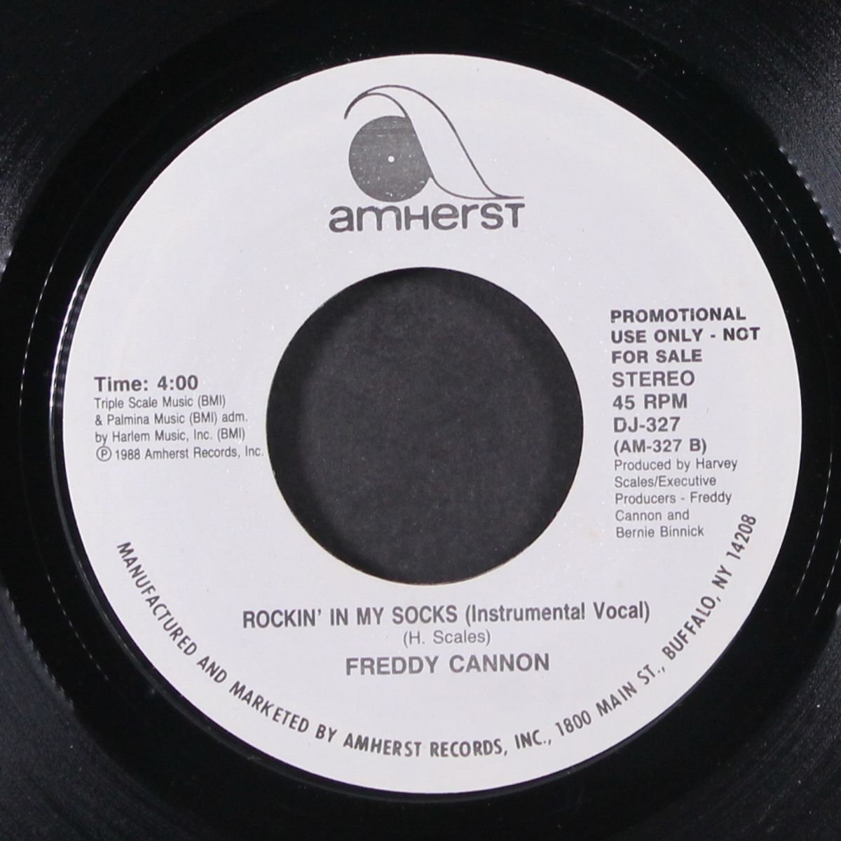 rockin' in my socks by FREDDY CANNON