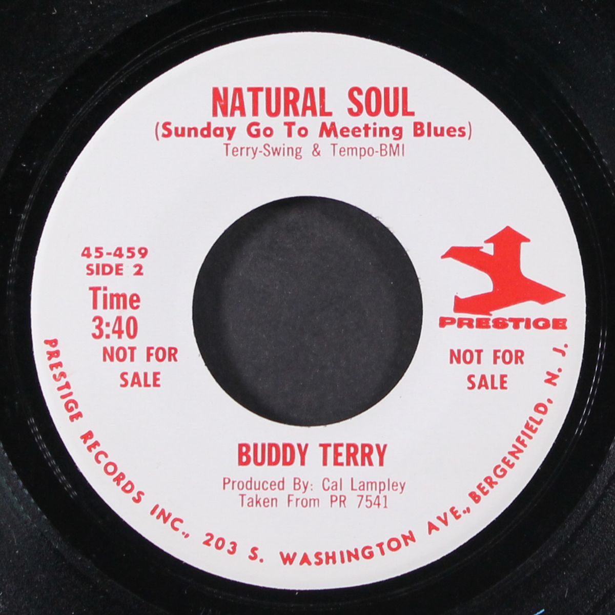 natural soul by BUDDY TERRY