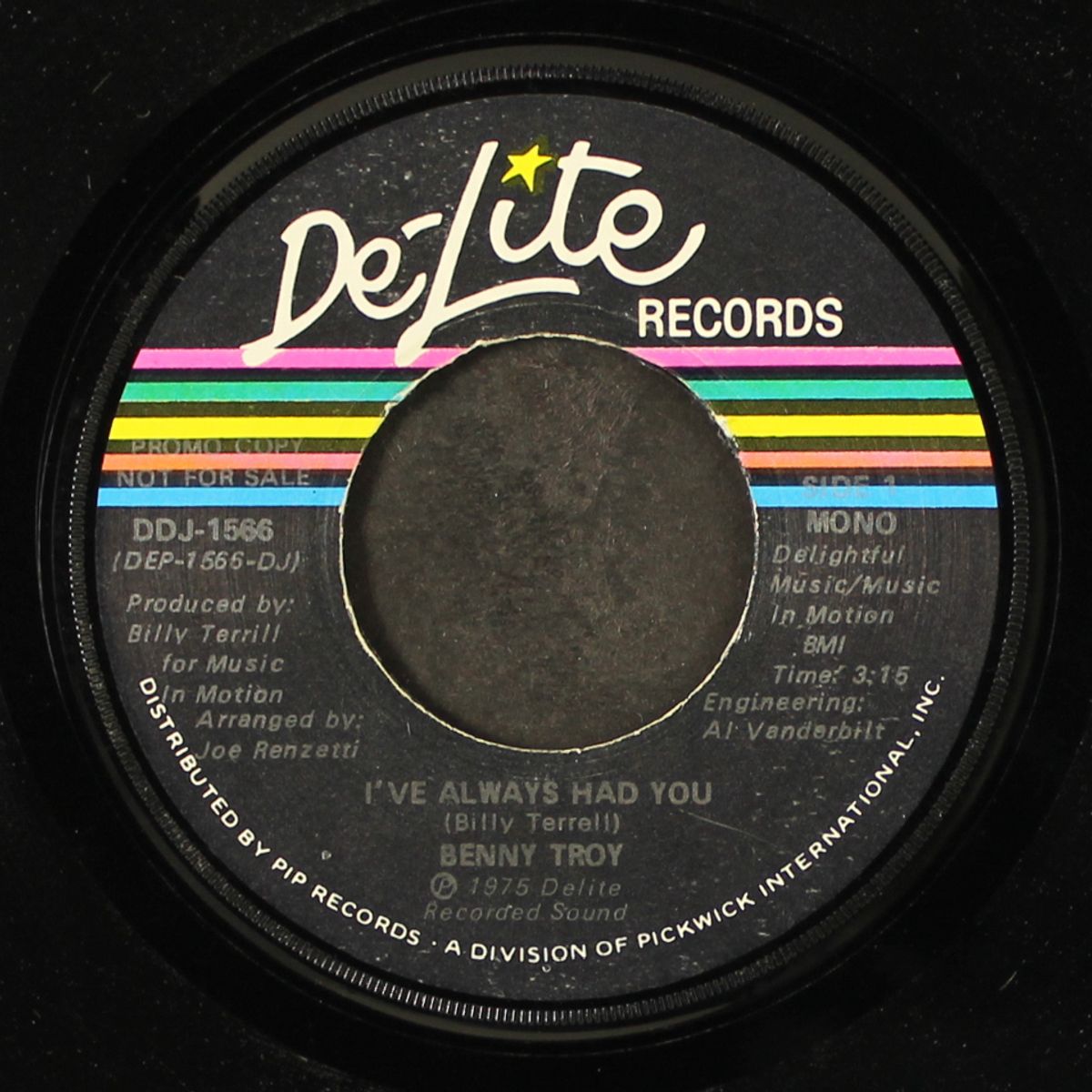 i've always had you / mono by BENNY TROY