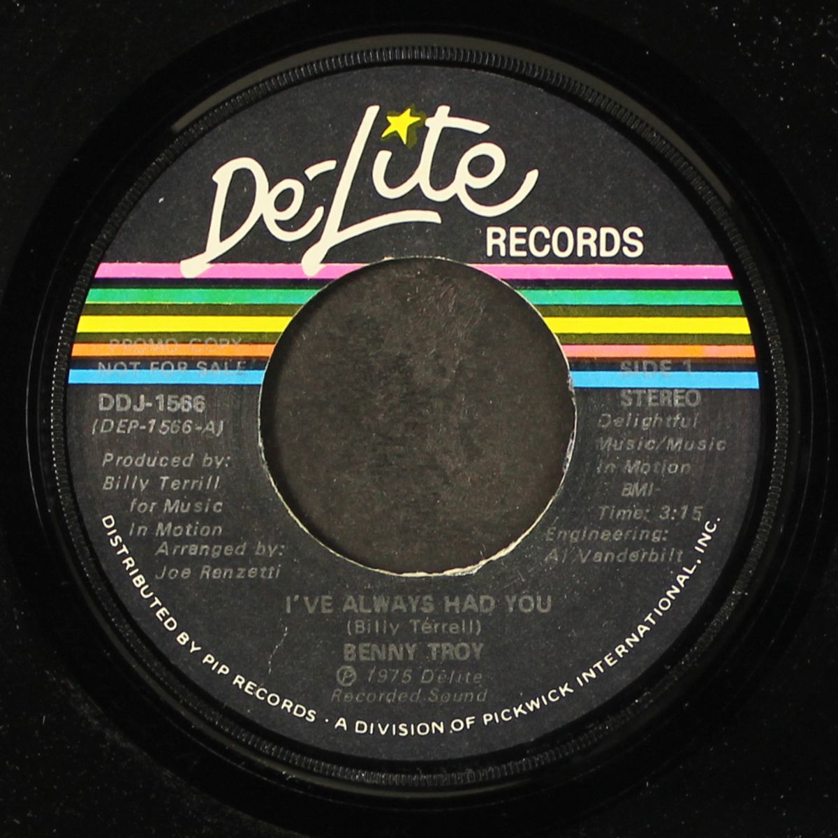 i've always had you / mono by BENNY TROY