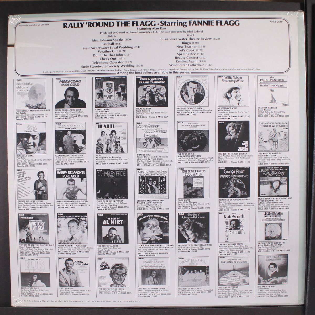 rally round the flagg by FANNIE FLAGG