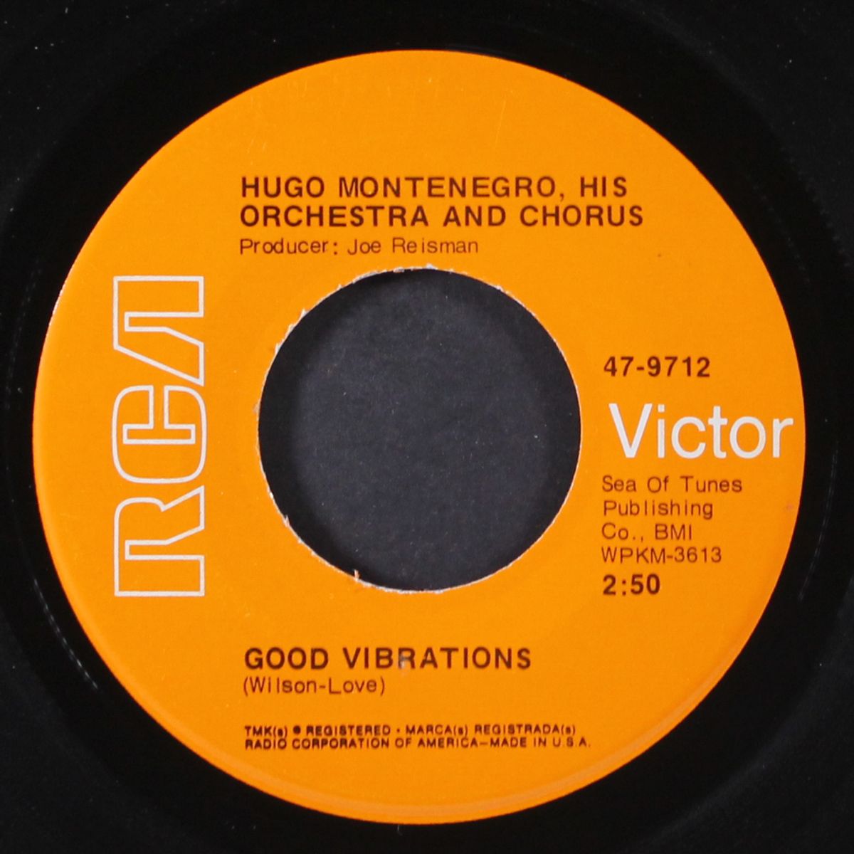 good vibrations by HUGO MONTENEGRO