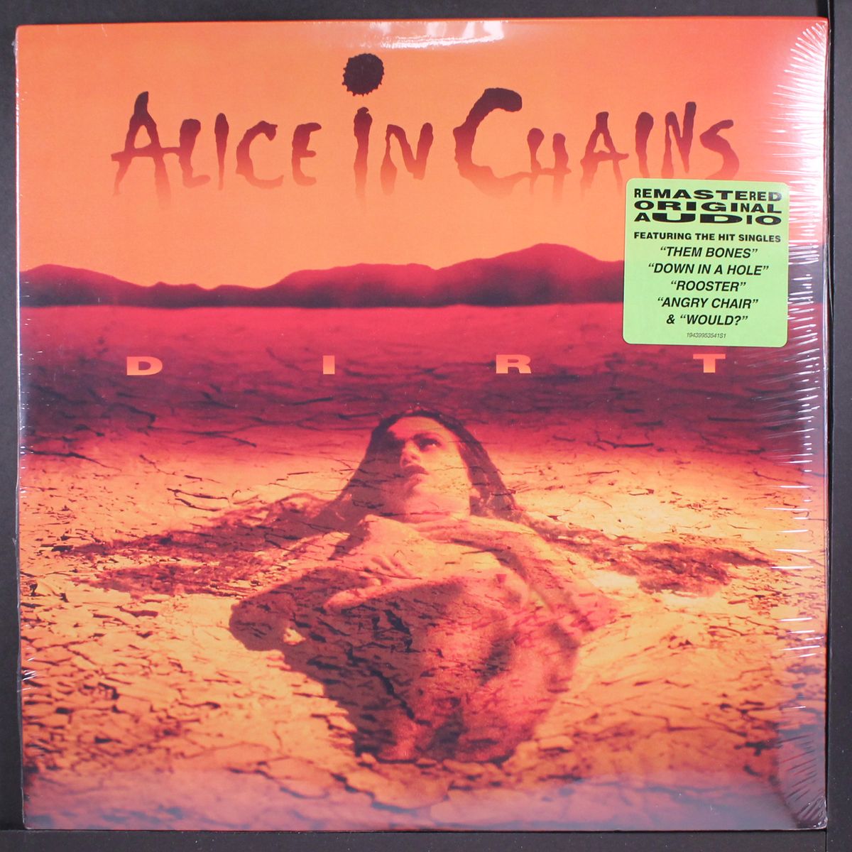 dirt by ALICE IN CHAINS