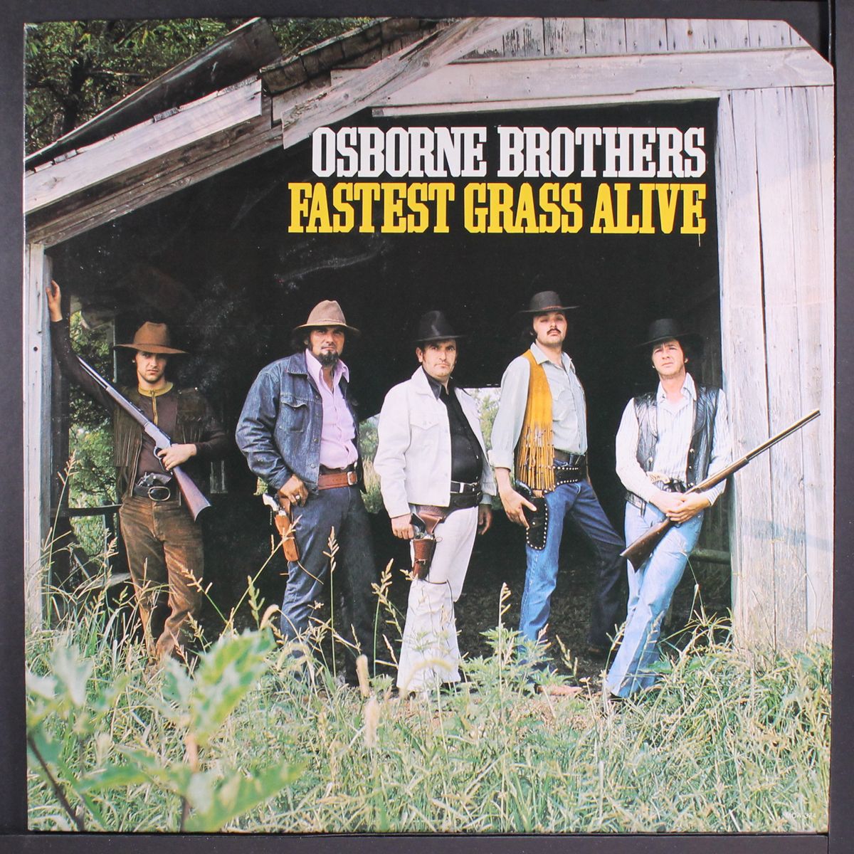 fastest grass alive by OSBORNE BROTHERS