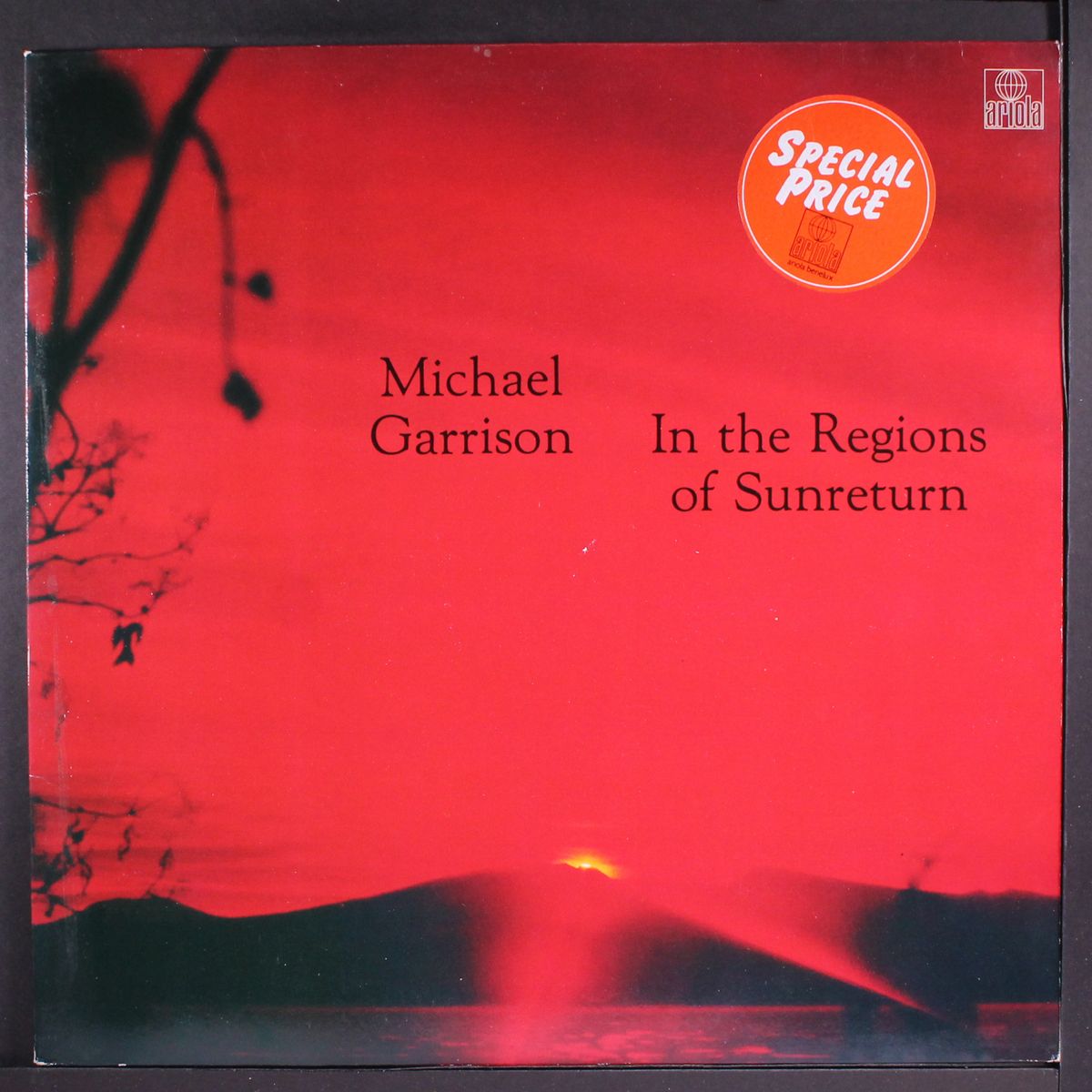 in the regions of sunreturn by MICHAEL GARRISON