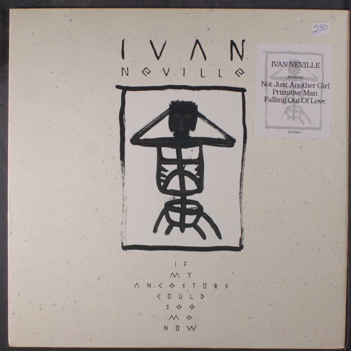 if my ancestors could see me now by IVAN NEVILLE