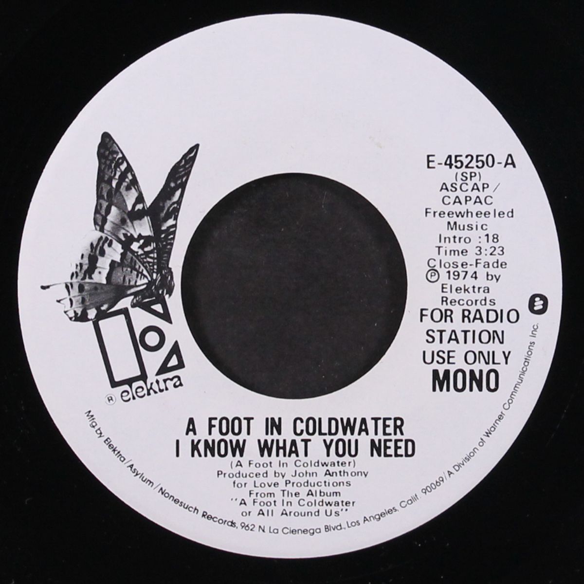 i know what you need / mono by A FOOT IN COLD WATER