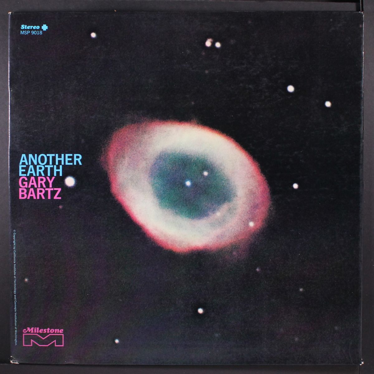 another earth by GARY BARTZ