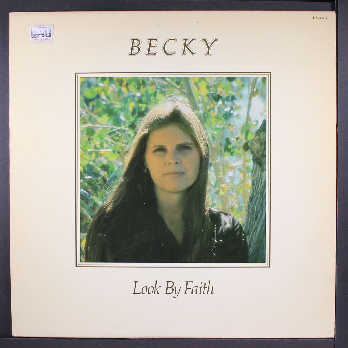 look by faith by BECKY