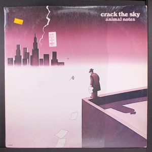 CRACK THE SKY