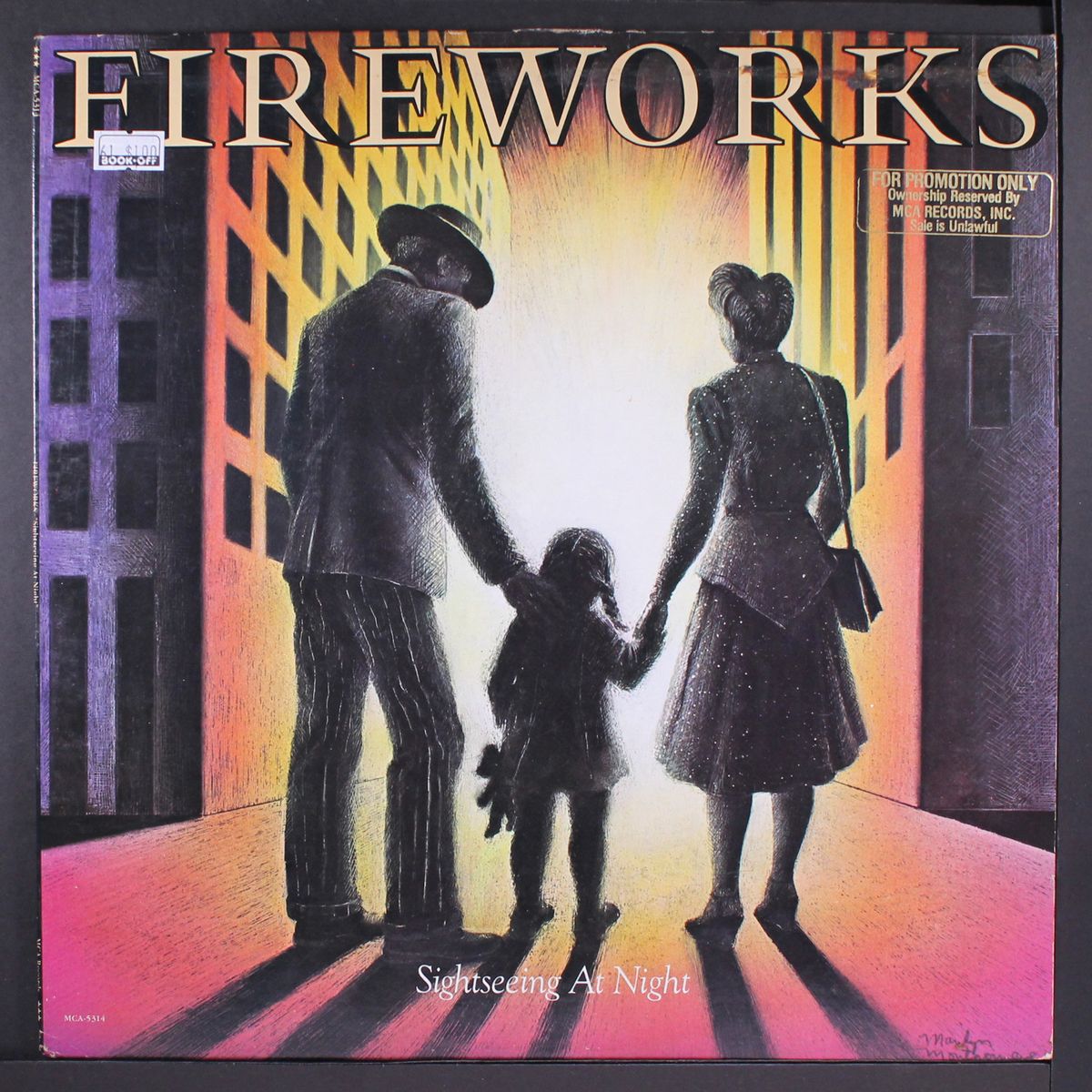 sightseeing at night by FIREWORKS