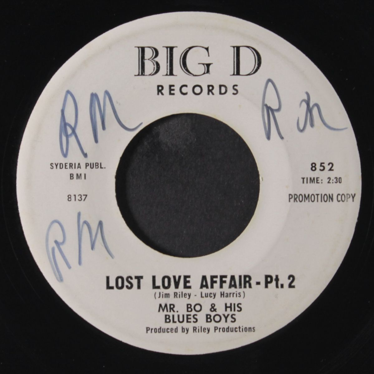 lost love affair / part 2 by MR. BO & HIS BLUES BOYS