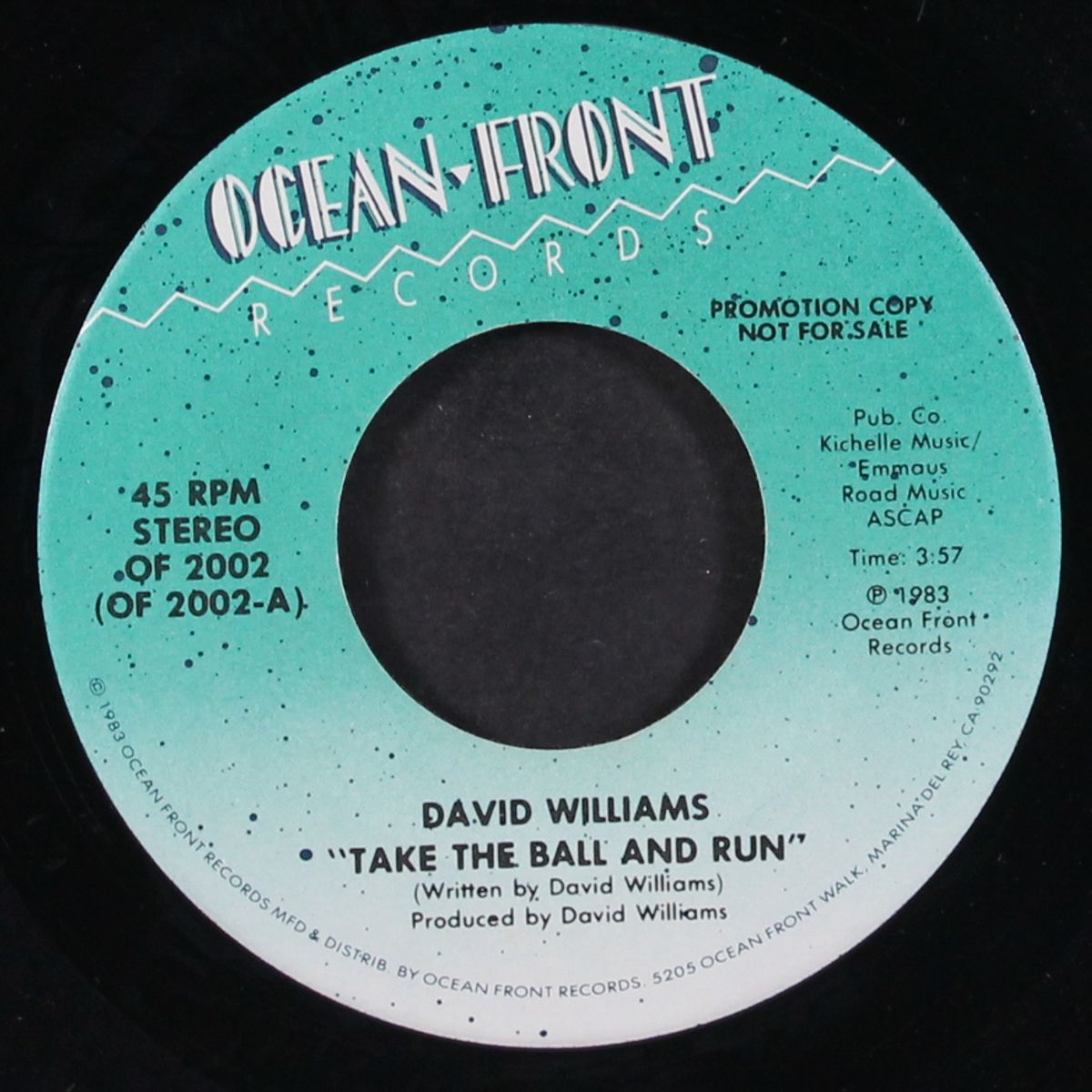 take the ball and run / same by DAVID WILLIAMS