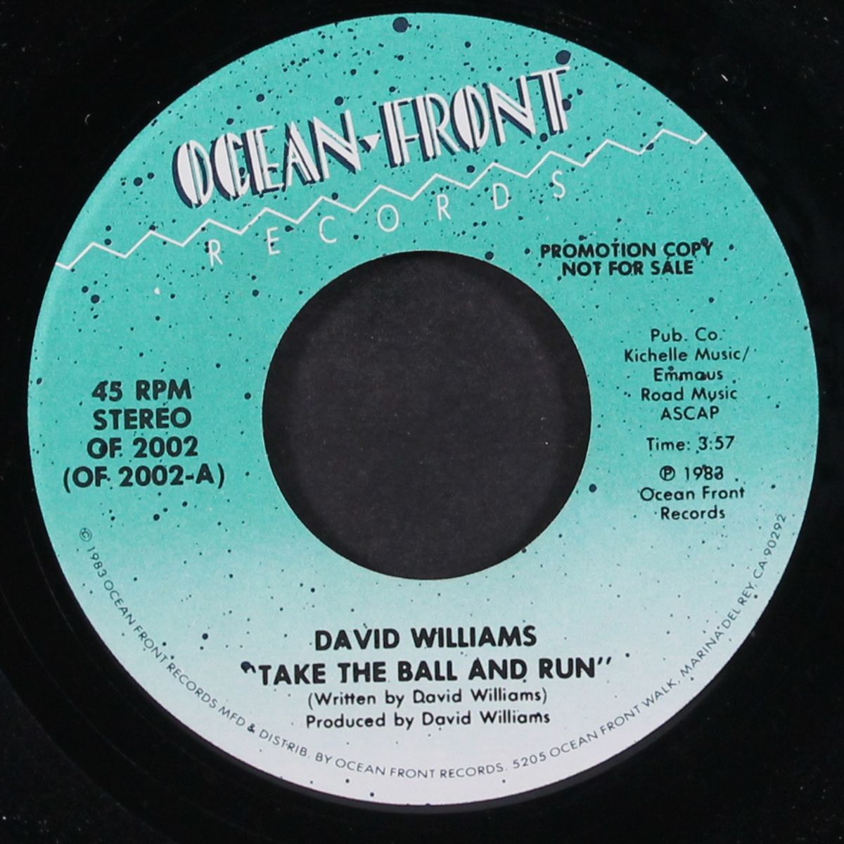 take the ball and run / same by DAVID WILLIAMS