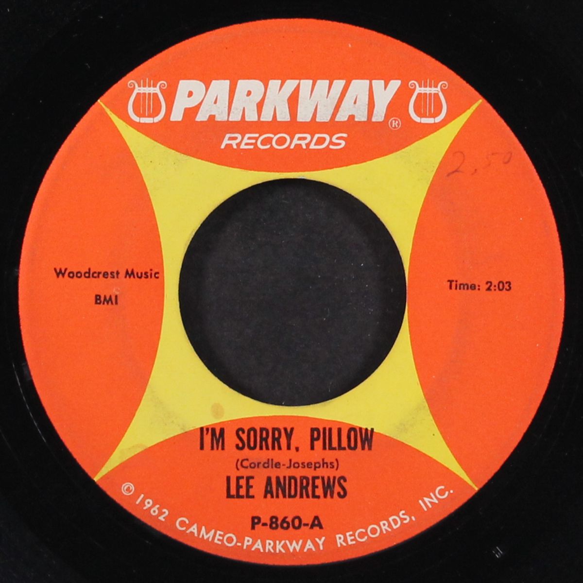 gee, but i'm lonesome / i'm sorry, pillow by LEE ANDREWS & GROUP