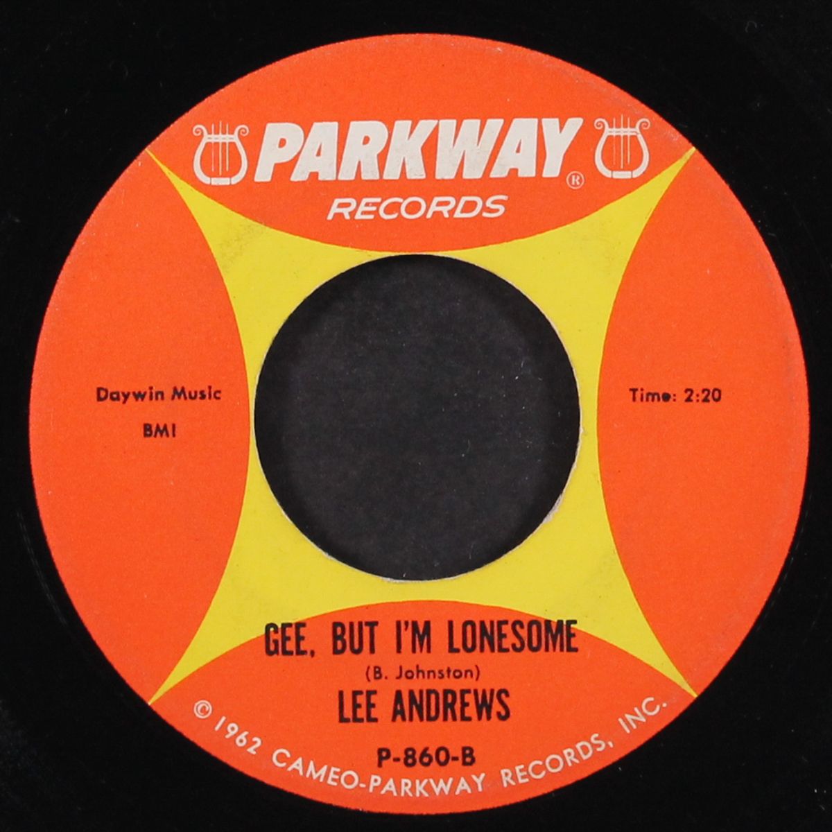 gee, but i'm lonesome / i'm sorry, pillow by LEE ANDREWS & GROUP