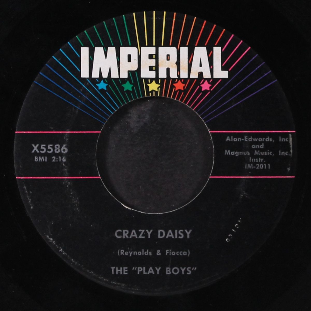 crazy daisy by PLAY BOYS