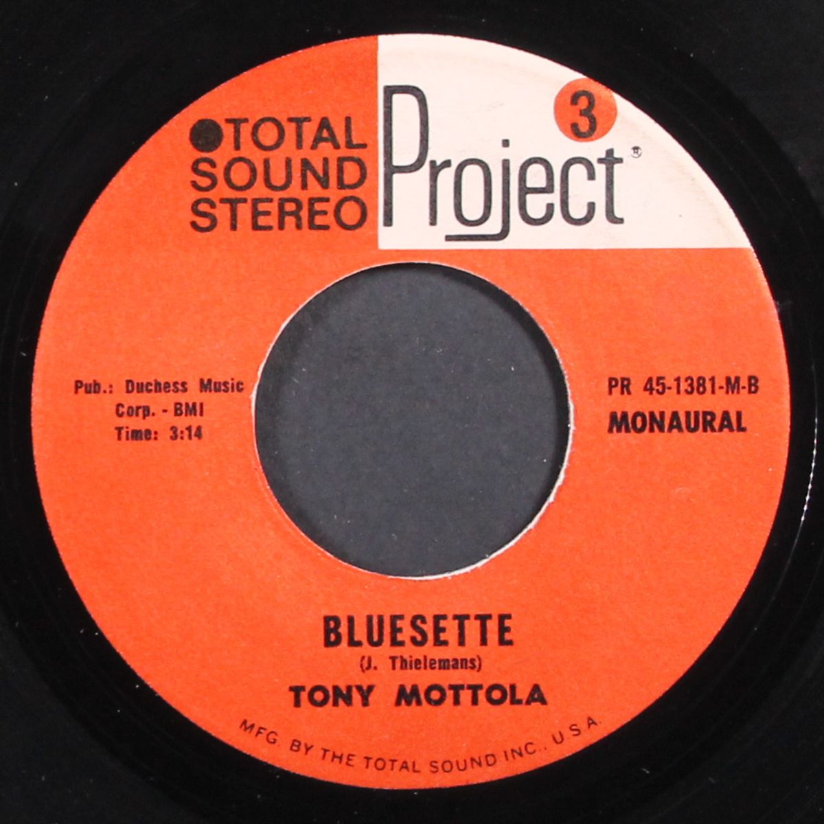 tequila / bluesette by TONY MOTTOLA