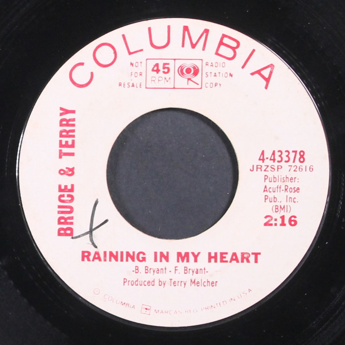 raining in my heart by BRUCE & TERRY