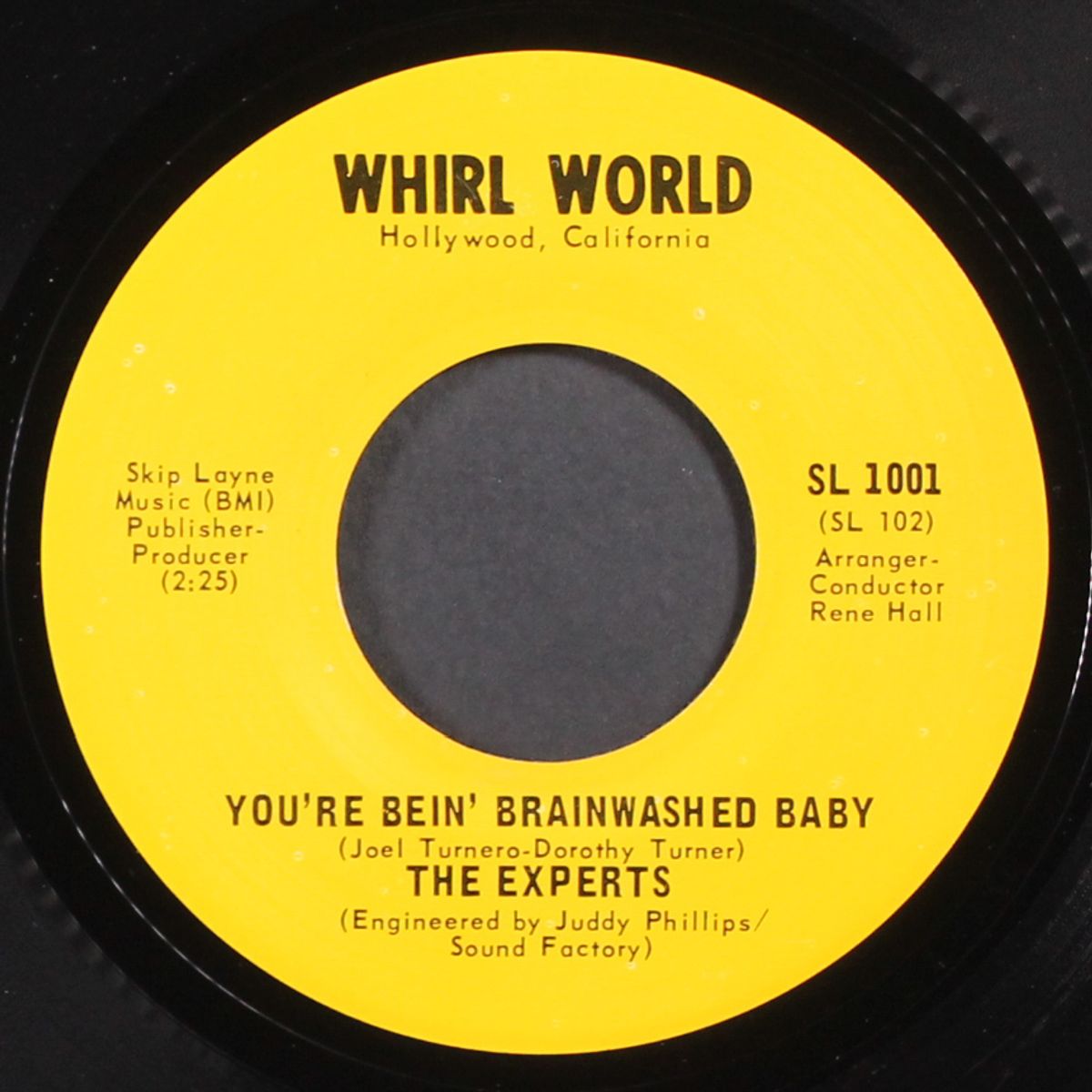 you're bein' brainwashed baby / wake me when it's over by EXPERTS