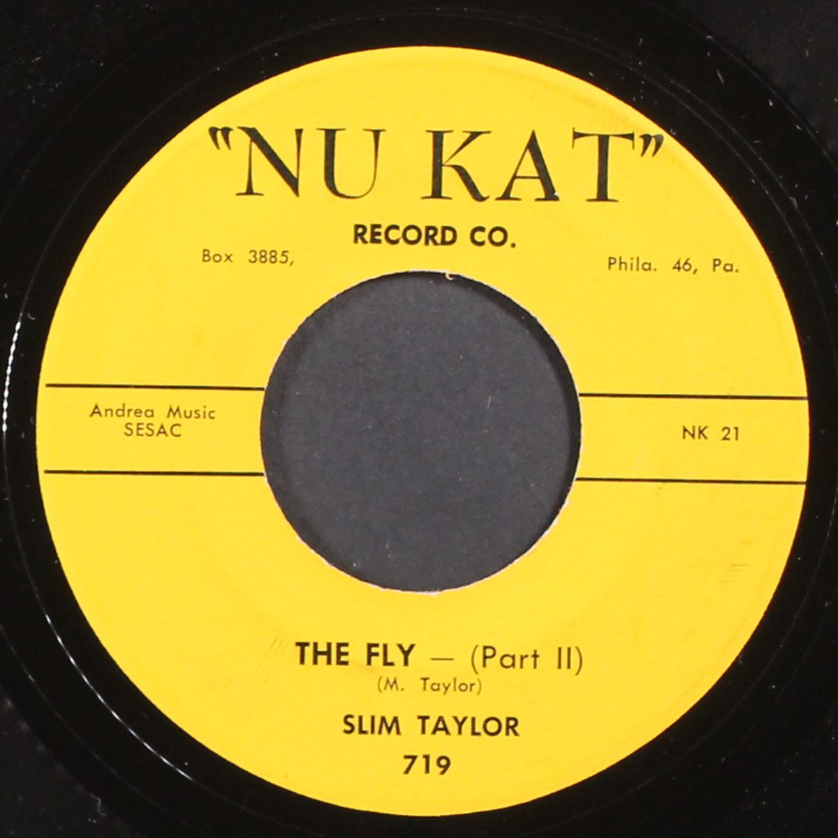 the fly / part 2 by SLIM TAYLOR