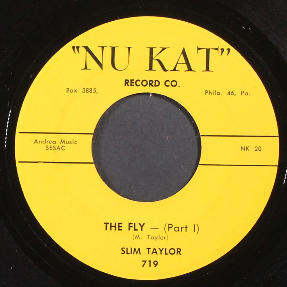 the fly / part 2 by SLIM TAYLOR