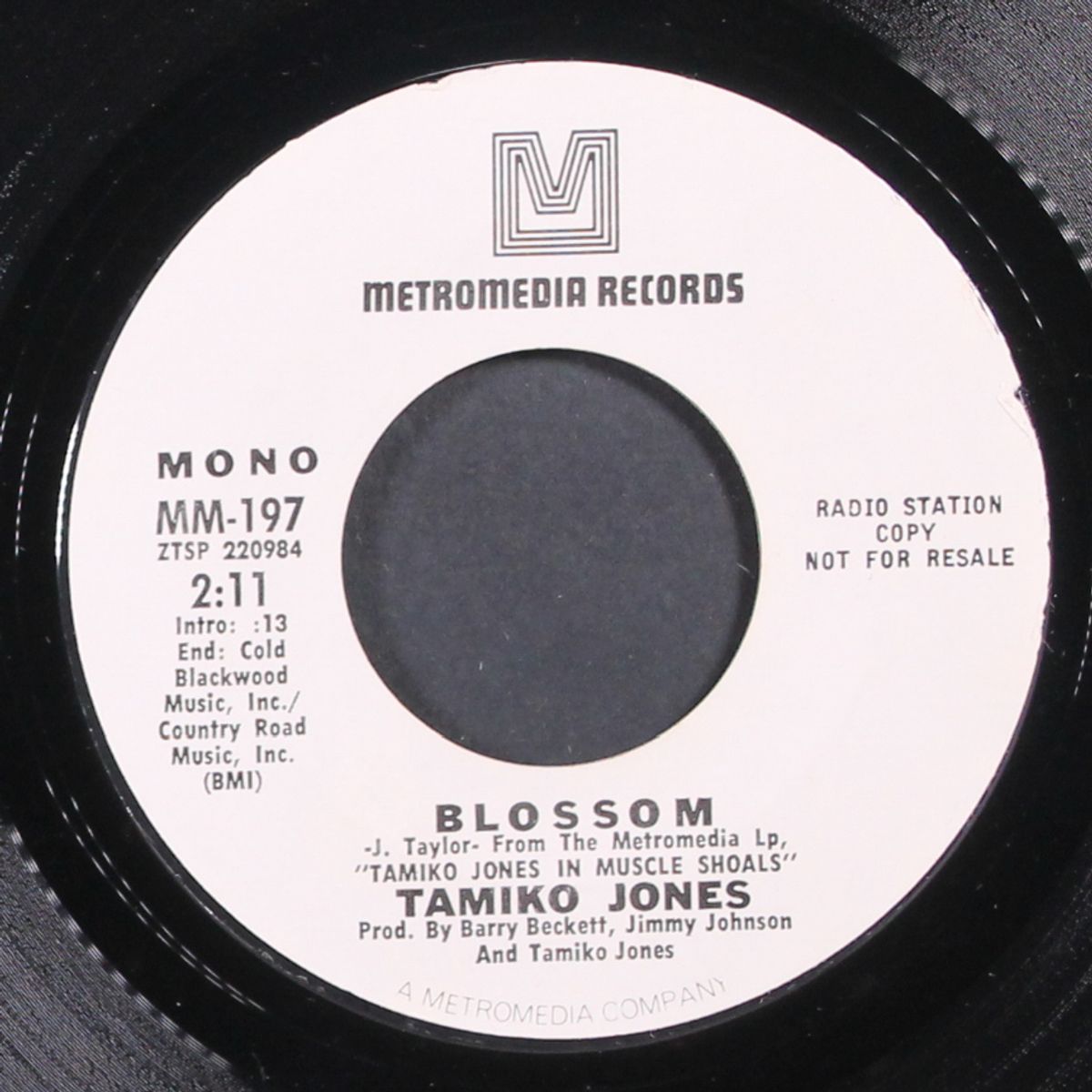 please don't tell me / blossom by TAMIKO JONES